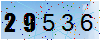驗證碼為29536