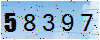 驗證碼為58397